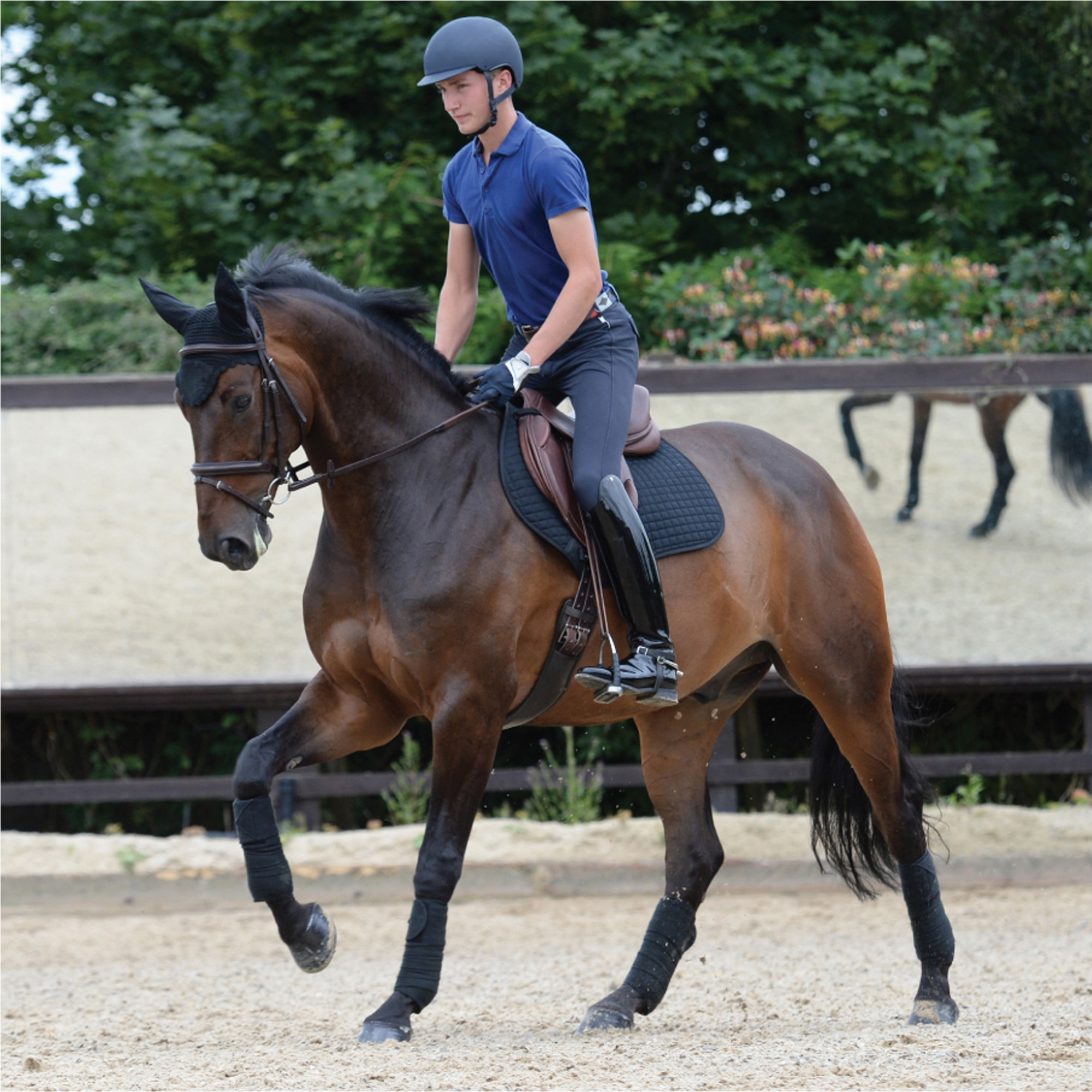 Weatherbeeta Prime Jump Shaped Saddle Pad 1000747 - Black